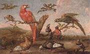 A river landscape with parrots and other birds unknow artist